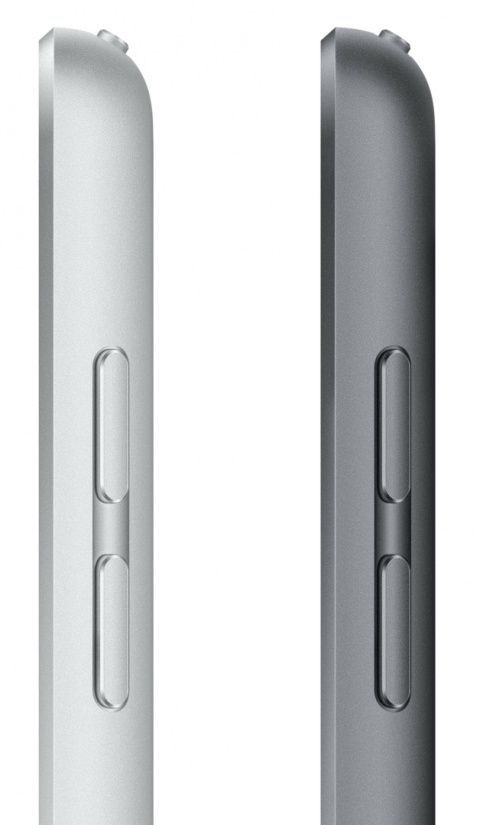 Apple iPad 256GB (9.gen) Wi-Fi Space Gray