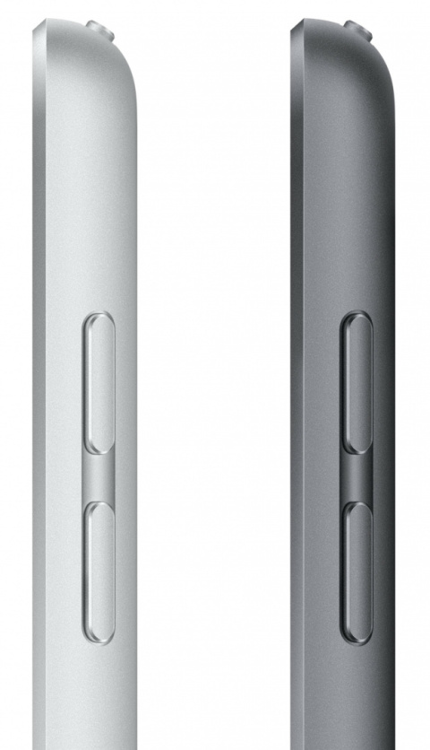 Apple iPad 256GB 9gen Wi-Fi + Cellular Srebrny