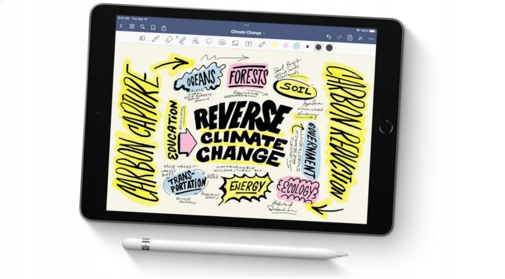 Tablet APPLE iPad 10.2" 9 gen. 256GB Wi-Fi Przekątna ekranu 10.2"